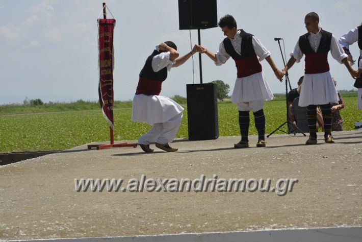 alexandriamou.gr_trikala28.5.2018074